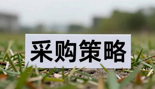 商品定制市场中的常见问题与发展趋势分析
